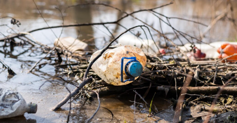 The Plastic Pollution Crisis – Microplastics Found in Human Blood The Plastic Pollution Crisis: Microplastics Found in Human Blood