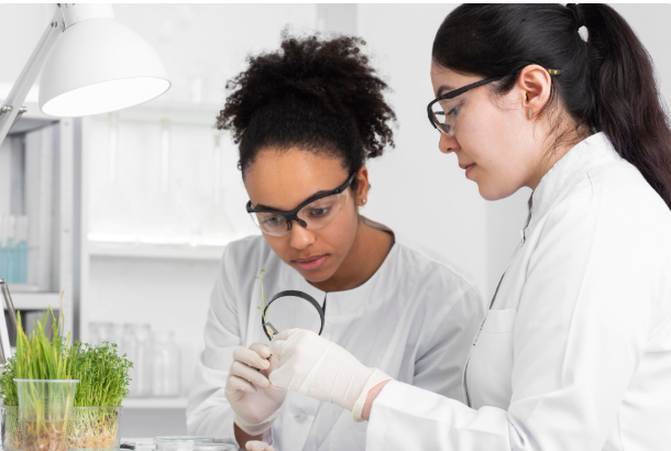 The Perfect Landing , Japanese Scientists Finally Solve the “Falling Cat” Physics Problem Japanese Scientists Finally Solve the "Falling Cat" Physics Problem